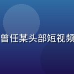张雨桐，草莓视频app产品总监，曾任某头部短视频平台产品负责人，用户体验设计专家